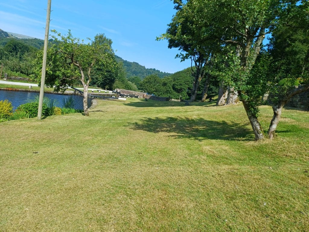 Grass cutting around mature trees and planting borders