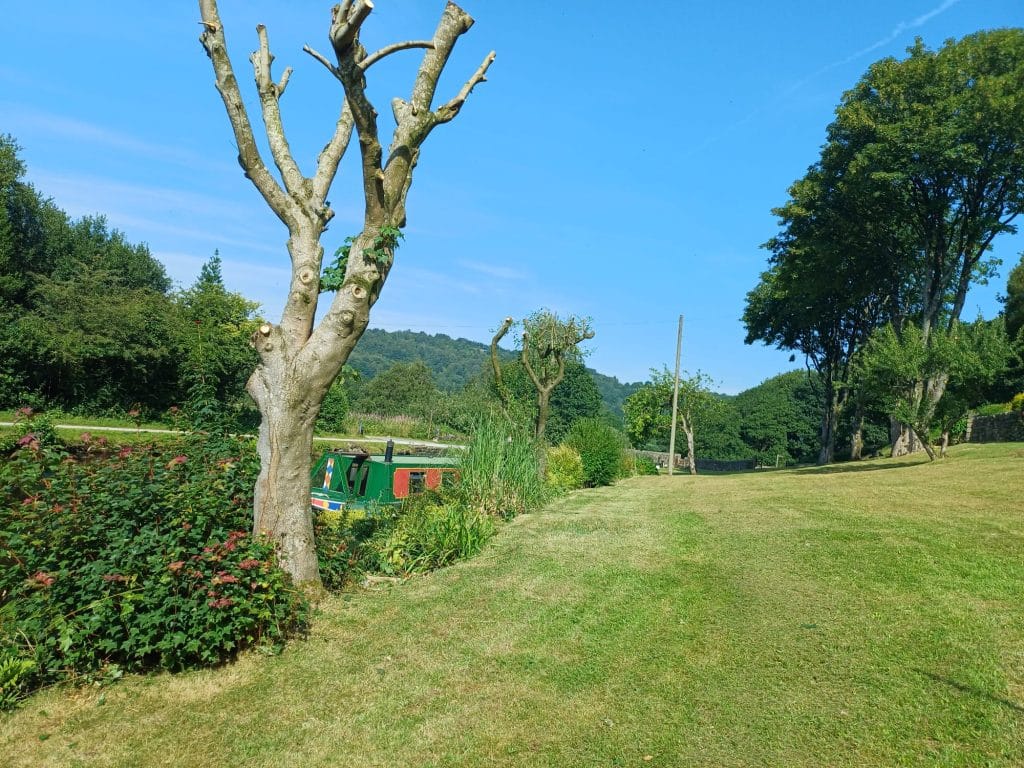 Mown lawn with shaped hedges and pruned trees