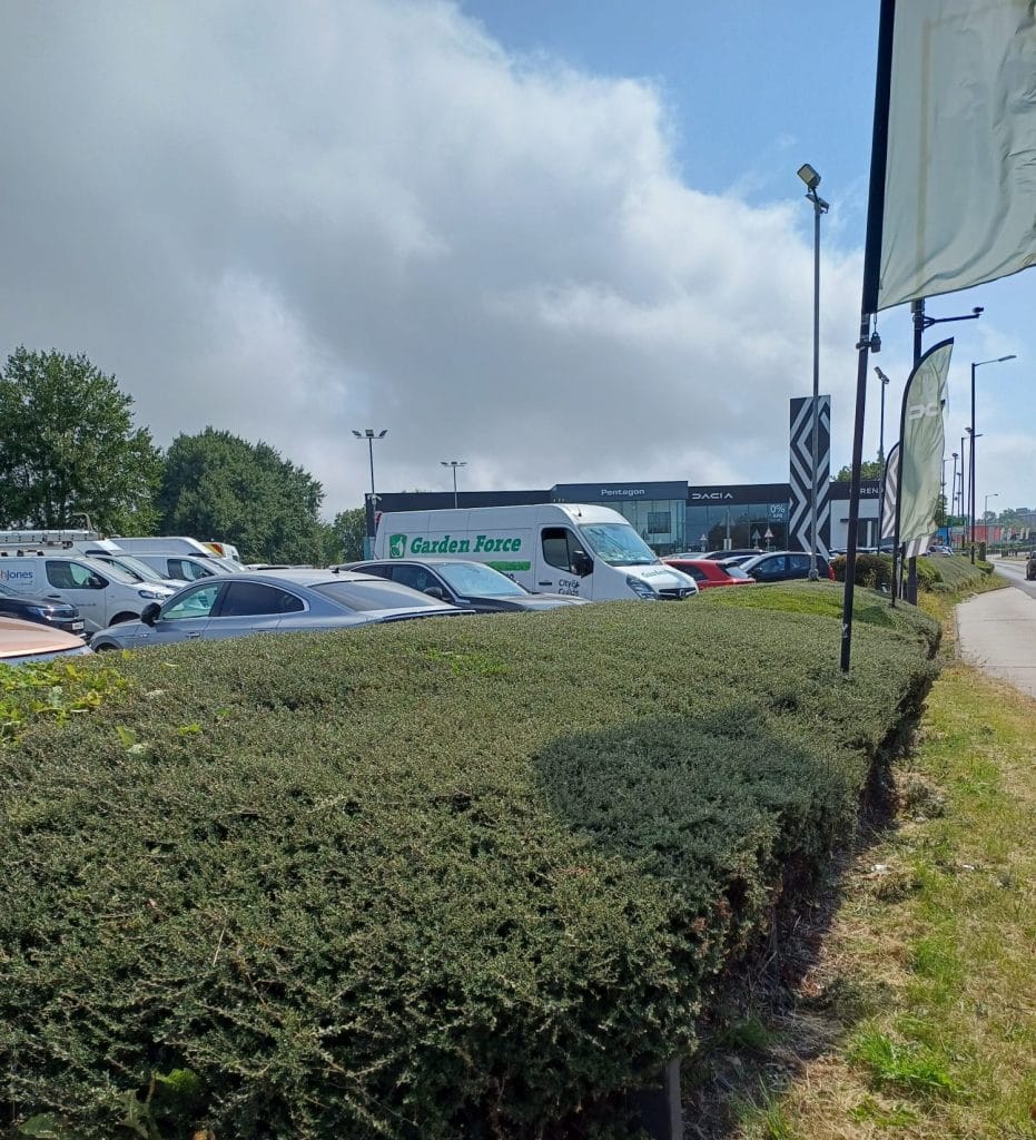 Trimmed hedge along a business car park