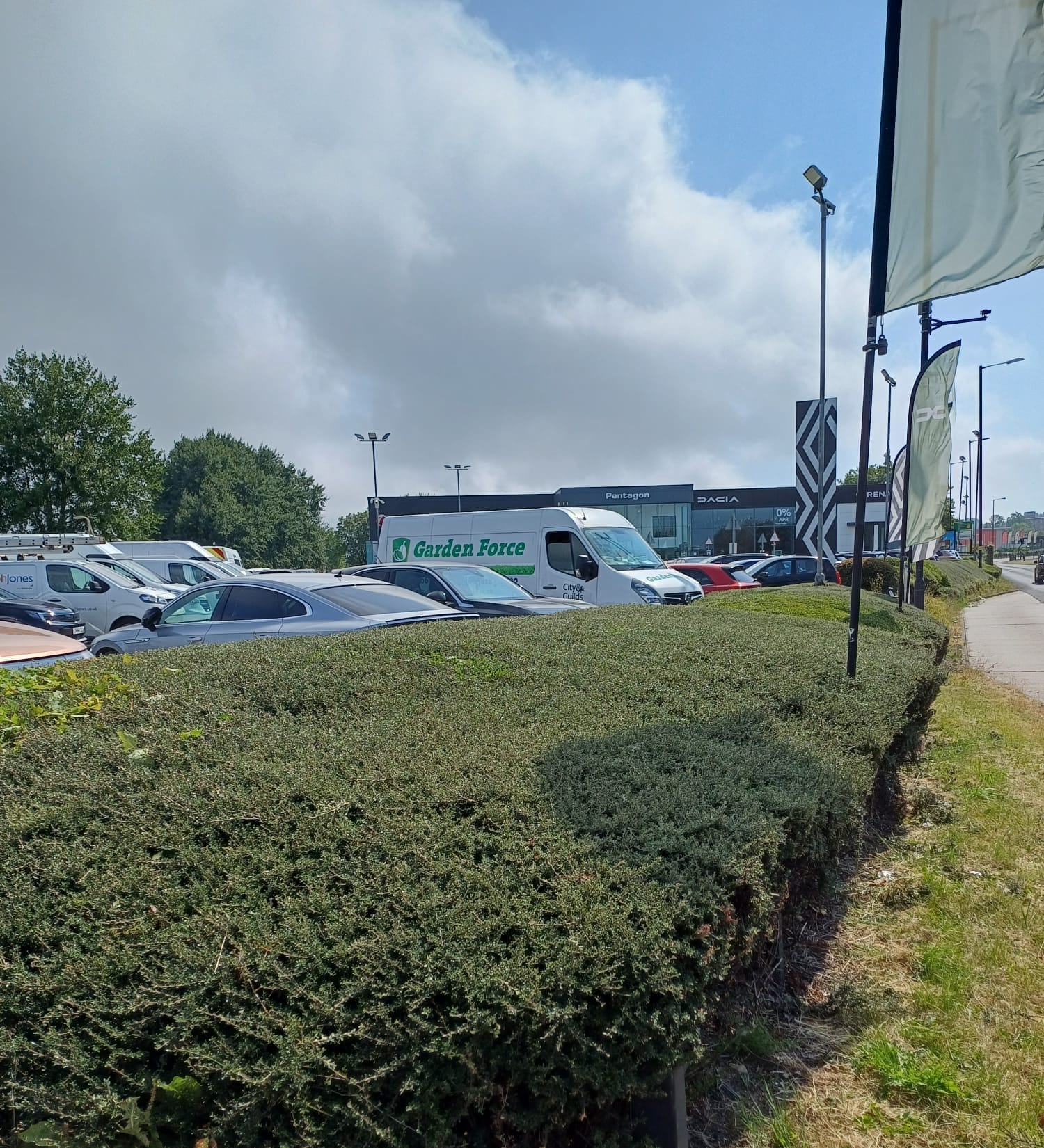 Trimmed hedge along a business car park