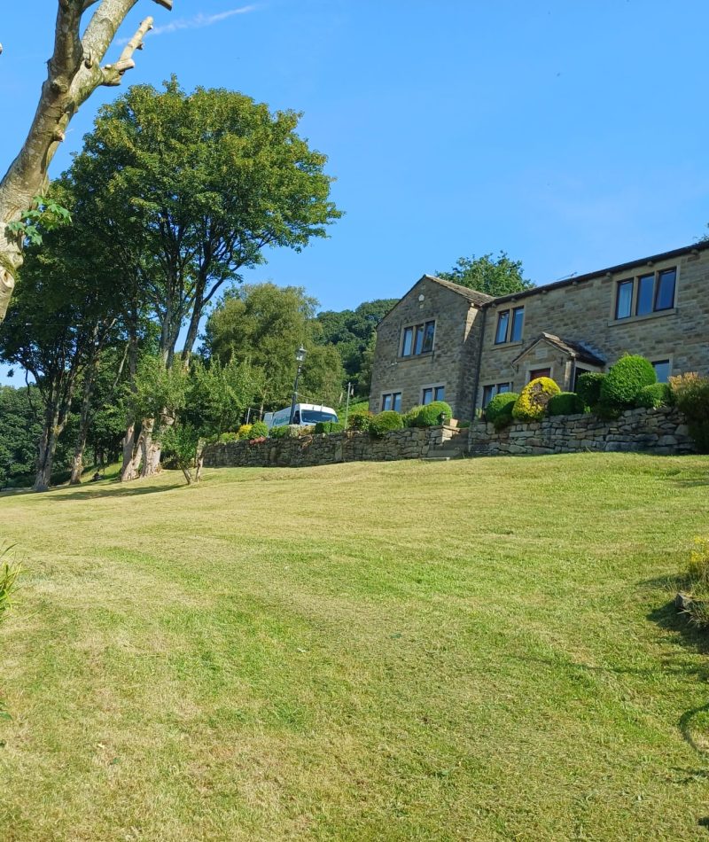 Maintained grass and established trees beside homes